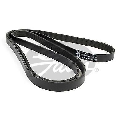 GATES KEILRIPPENRIEMEN 6PK2500 passend für AUDI A4 A5 A6 Q5 FORD USA EXPEDITION GATES KEILRIPPENRIEMEN 6PK2500 passend für AUDI A4 A5 A6 Q5 FORD USA EXPEDITION