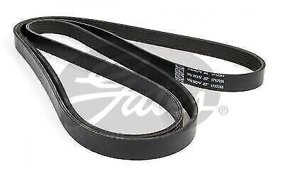 Brand New V-Ribbed Drive Belt for Gates Alternator Fan