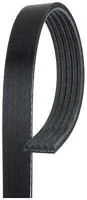 Gates Drive Belt Fan Belt Micro-V Belt 5PK1645