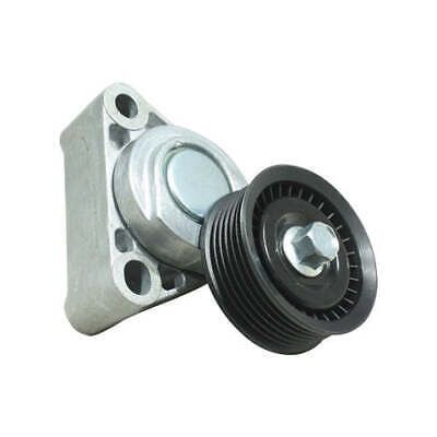 Drive Belt Tensioner for Holden Calais Caprice Commodore LS1