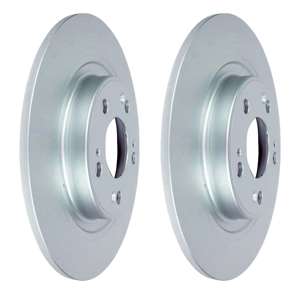 Pair (2) Rear Disc Brake Rotors for Haval Jolion 2021~On 295mm