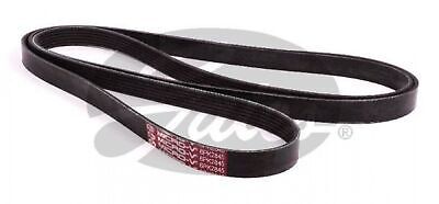 Gates Multi-Accessory Engine Fan Drive Belt For Holden VS V6 Commodore Calais Caprice