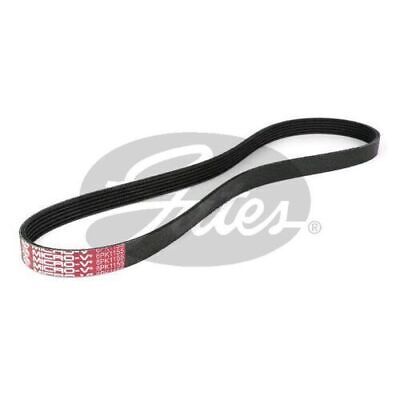 Gates 6PK1155 Drive Belt (Fan Belt) Micro-V Belt