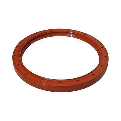 High Temperature Oil Seal 168.243.31 Htbr Sil 402916S