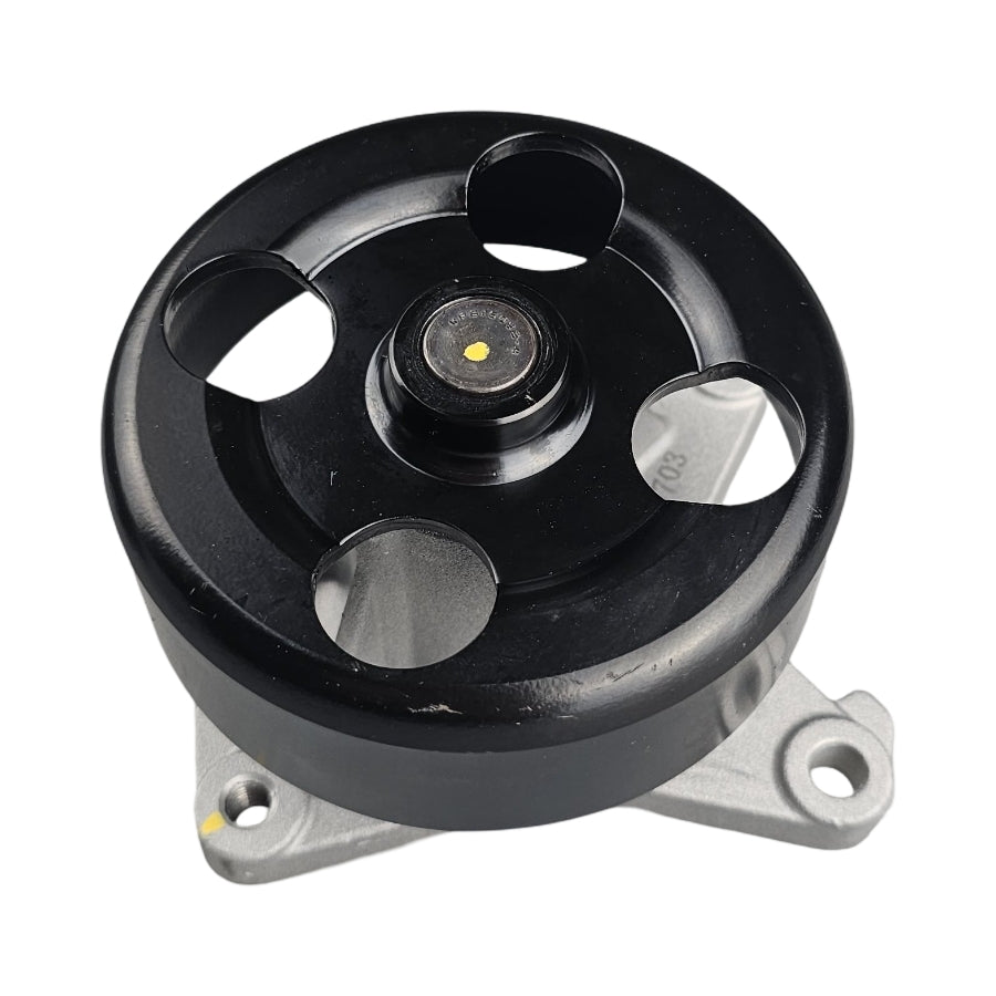 NPW Water Pump for Nissan Dualis J10, Pulsar B17 C12, Tiida C11, X-Trail T31 | Renault Fluence X38, Megane B95 E95 K95 X32