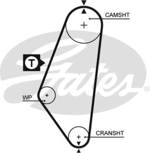 Gates Timing Belt T081