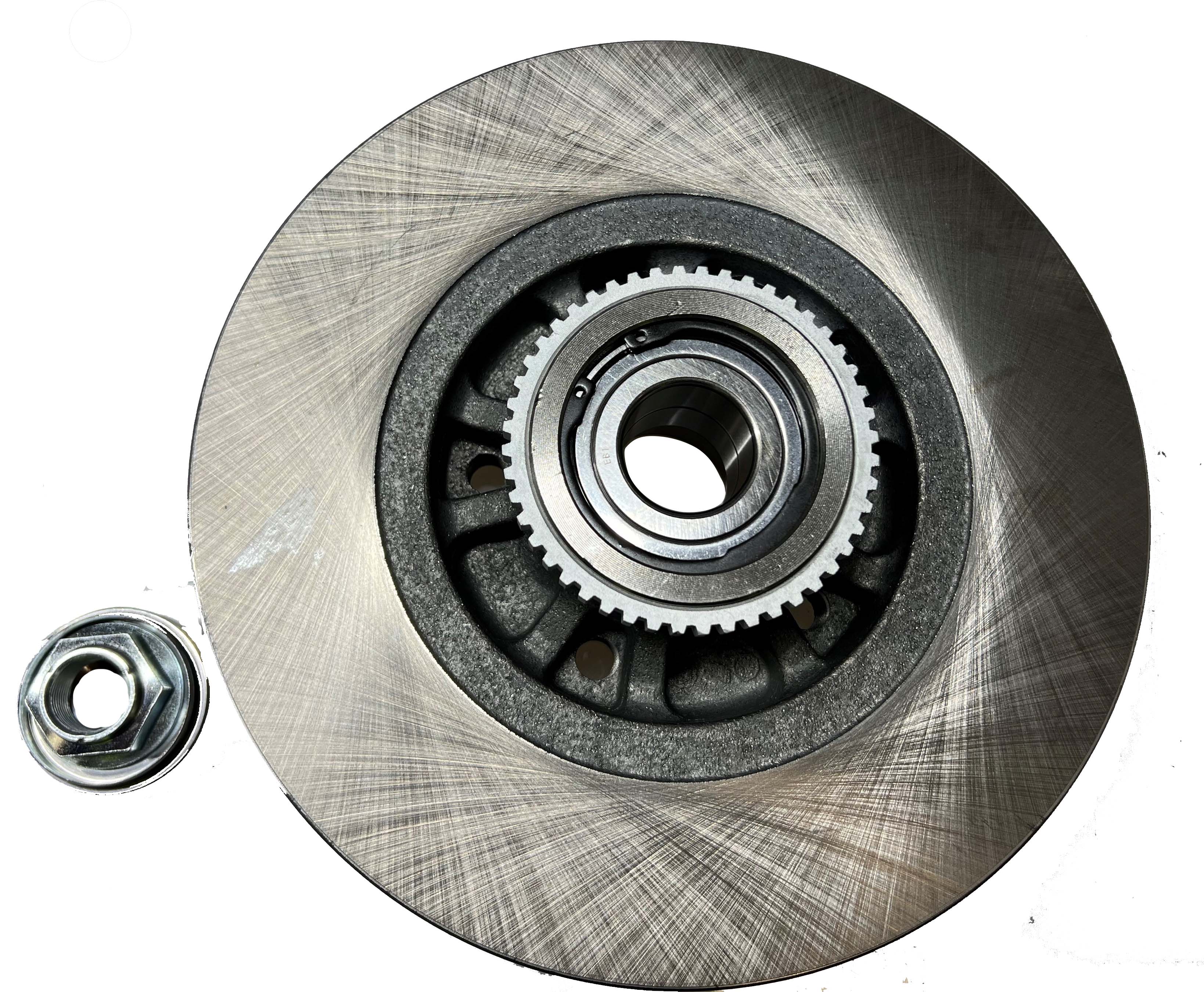 Rear Disc Brake Rotor + Wheel Bearing for Mitsubishi Express SN, Renault Trafic X82